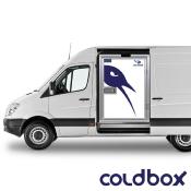 Cold box 585L - L69/H175cm - 2p