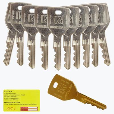 lot 1+10 clés RIELDA RS3 code